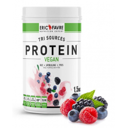 PROTEIN VEGAN